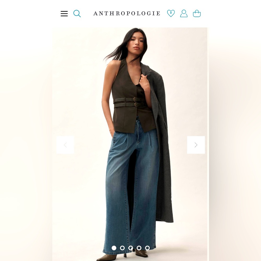 NWT Anthropologie Pilcro Pleated High Rise Trousers Jeans 29 Kellerman Wash